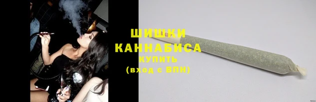 круглые Гусев