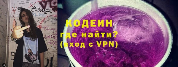 хмурый Аша