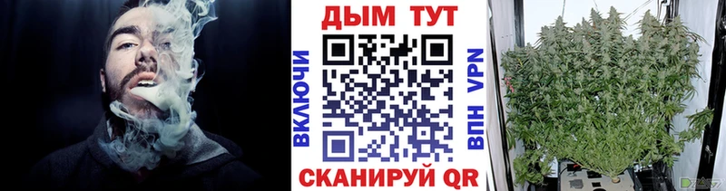 Бошки Шишки Amnesia  Боготол 